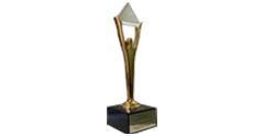 Stevie Award 2022