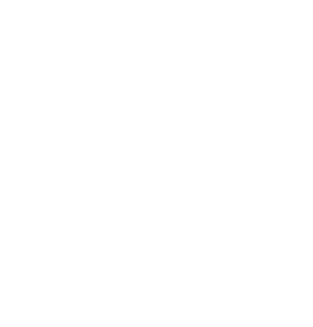 Logo white